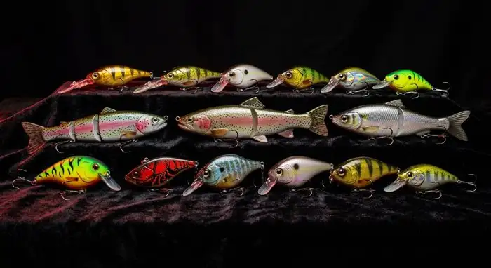 Custom bait collection